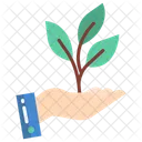 Business Business Growth Growth Icon