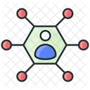 Business Network Network Icon