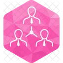Business Organization Hierarchy Group Icon