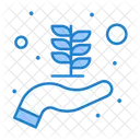 Business Startup Business Grow Business Growth Icon