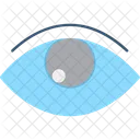 Business Eye Opportunity Icon