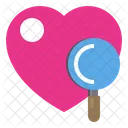 Corazon Amor Datos Icon