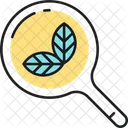 Busqueda Morganica Icono
