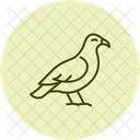Bussard  Symbol