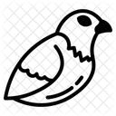 Bussard  Symbol