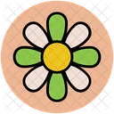 Buttercup Flower Leafs Icon