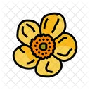 Buttercup Blossom Spring Icon