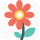 미나리 아재비 꽃 아름다움 아이콘