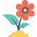 Buttercup Flower Beauty Icon