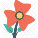 미나리 아재비 꽃 아름다움 아이콘