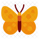 Butterflies Insect Garden Icon