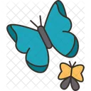 Butterflies  Icon