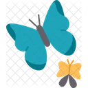 Butterflies Love Freedom Icon