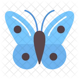 Butterflies  Icon