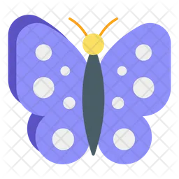 Butterfly  Icon