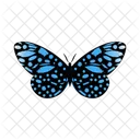 Butterfly Insect Painted Lady Icon