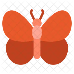 Butterfly  Icon