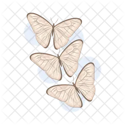 Butterfly  Icon