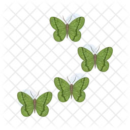 Butterfly  Icon