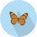Butterfly Bug Butterflies Icon