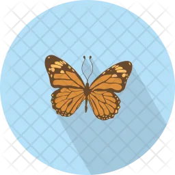 Butterfly  Icon