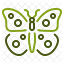 Insect Nature Fly Icon