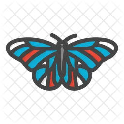 Butterfly  Icon