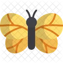 Butterfly  Icon