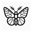 Butterfly Insect Nature Icon