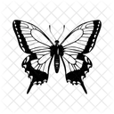 Butterfly Insect Nature Icon