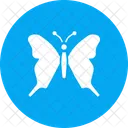 Butterfly Easter Insect Icon