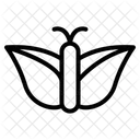 Butterfly  Icon