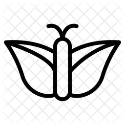 Butterfly  Icon