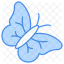 Butterfly  Icon