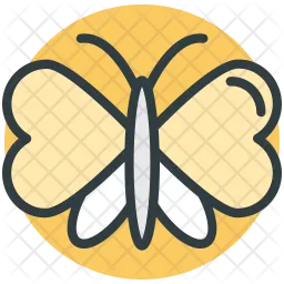 Butterfly  Icon