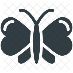 Butterfly Icon