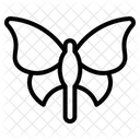 Butterfly  Icon