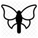 Butterfly  Icon
