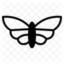 Butterfly  Icon