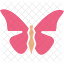 Butterfly  Icon