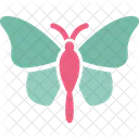 Butterfly Glider Butterfly Insect Icon