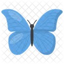 Butterfly Moth Insect Icon
