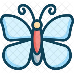 Butterfly  Icon