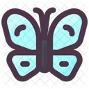 Spring Butterfly Insect Icon