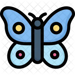 Butterfly  Icon