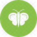 Butterfly Insect Beautiful Icon