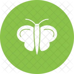 Butterfly  Icon