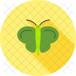 Butterfly Icon