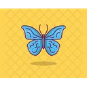 나비  아이콘