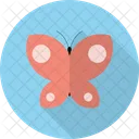 Butterfly Insects Flying Icon